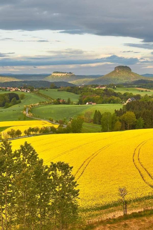 Ferienwohnung-Ritscher-In-Lichtenhain-1 Dış mekan fotoğraf